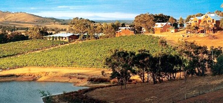Panaoramic view of Winery