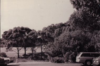 Photograph - Photograph - black and white, VIOSH: National Occupational Health and Safety Council Function,  Ballarat, c1996