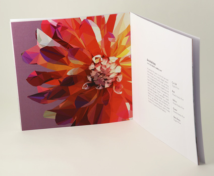 Full colour left-hand page, image of graphic-style flower, facing text page.