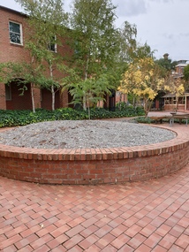 Photograph - Photograph - Colour, Tree planted to commemorate the 125th Anniversary of the Ballarat School of Mines, 1995, 23/04/2020