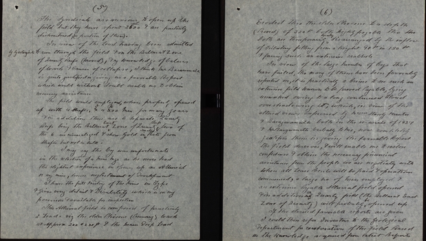 Letter 
