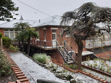 Photograph, Clare Gervasoni, Snow Falling Over the Ballarat School of Mines Botanical Gardens, 2020, 25/09/2020