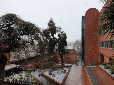 Photograph, Clare Gervasoni, Snow Falling Over the Ballarat School of Mines Botanical Gardens, 2020, 25/09/2020