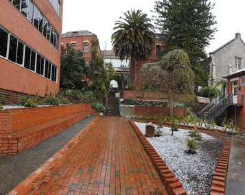 Photograph, Clare Gervasoni, Snow Falling Over the Ballarat School of Mines Botanical Gardens, 2020, 25/09/2020