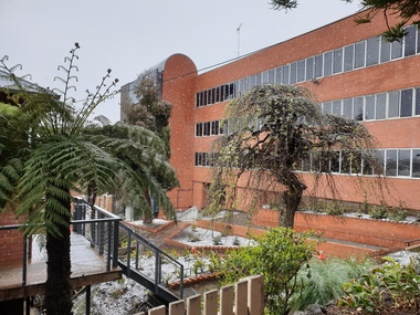Photograph, Clare Gervasoni, Snow Falling Over the Ballarat School of Mines Botanical Gardens, 2020, 25/09/2020