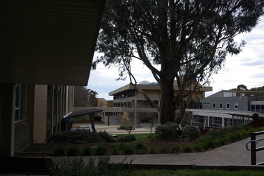 Photograph, Clare Gervasoni, E.J. Barker Library, 2020, 11/09/2020