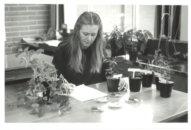 Photograph, Kay Cleary at Work, 1983, 07/1983