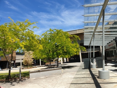 Photograph, Clare Gervasoni, Looking Towards the E.J. Barker Library, 2021, 12/12/2021