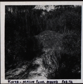 Photograph, Mallee Fowl Mounds, Little Desert