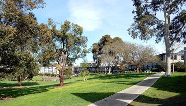 Photograph, Views of Federation University Gippsland Campus, 2020