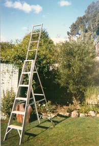 Photograph - Photograph - Colour, VIOSH: Ladder extension for steel ladder - folding, Warrnambool, Victoria, 1988