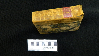 Book, Homeri Ilias: Tome I & II, 1839