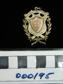 Medallion, Dux of Junior School 1923