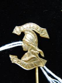 Lapel pin