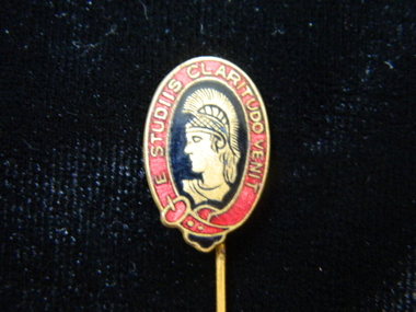 Lapel pin