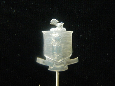 Lapel pin, Clarendon College lapel pin