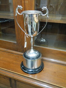 Trophy