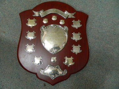 Shield