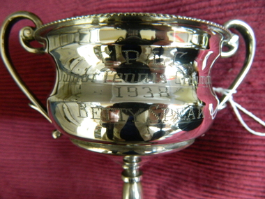 Trophy, Junior tennis champion