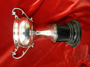 Trophy, Verse speaking cup