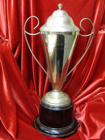 Trophy, Inter-House Swimming Cup