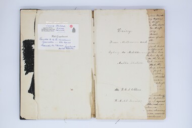 Diary