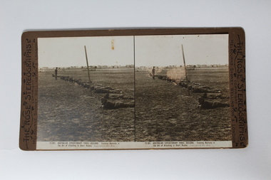 Stereograph, The Rose Stereographs