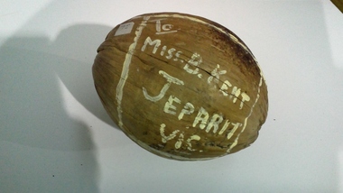 Memorabilia - Coconut