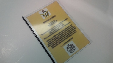 Memorabilia - Booklet:, Doings at Nhill