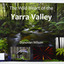 Paperback. Front cover has a main photograph of a creek running through a forest. There is also four smaller photographs. They are of a Red Coral Fungi, a Superb Lyrebird, a night time view looking upwards in a grove of trees and a view of a Soft tree fern. The back cover has a photograph of a Superb Lyrebird.