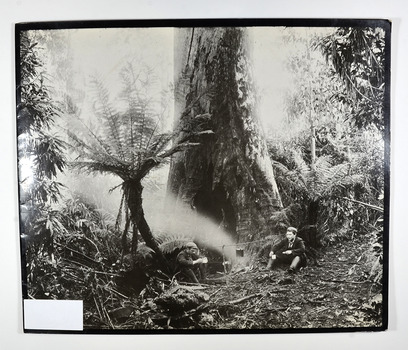 Paperback. Front cover has a photograph taken by Nicholas John Caire named 'On the Yarra'. A catalogue of a selection of Nicholas John Caire's photographs from an exhibition at the Art Gallery of New South Wales