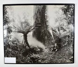 Paperback. Front cover has a photograph taken by Nicholas John Caire named 'On the Yarra'. A catalogue of a selection of Nicholas John Caire's photographs from an exhibition at the Art Gallery of New South Wales