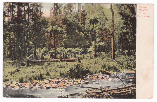 Shows the Watts River flowing through the forest at Fernshaw. Along the banks of the river are some small rocks. In the river are some fallen tree branches. In the background is a fallen tree. There are also tree ferns in the background. On the reverse is a message and an address handwritten in black ink. There is also an orange one penny Victorian postage stamp and a date stamp in black ink in the top right hand corner of the reverse.