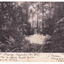 Shows three people standing at the edge of a river. They are surrounded by heavy forest with trees and tree ferns. In the background a hill is visible. There is a message handwritten written in black ink on the front of the postcard, along the bottom edge. There is also a return address written on the front. On the reverse is written the address of the recipient. There are two date stamps, one from Melbourne and one from Denmark. There is also a stamp from the Bill Hopkins Collection, Notting Hill Gate, London. The postage stamp has been removed.