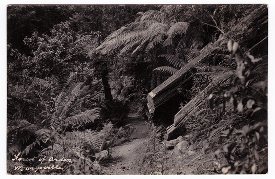 Shows the Forest of Arden near Marysville in Victoria. The photograph shows a small track leading through the forest. There are two large fallen trees and some tree ferns. The title of the postcard is handwritten in white ink on the lower left-hand edge. On the reverse of the postcard is a space to write a message and an address and to place a postage stamp. The postcard is unused.