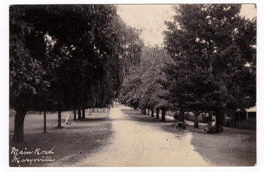 Shows the tree-lined main road in Marysville, Victoria. On the right-hand side of the photograph you can see two ladies sitting on a seat under a tree in front of Thomas Barton's house, 'The Chestnuts'. In front of the ladies is a motorbike with a sidecar. There are also three boys standing under a tree near the entrance to the house. The title of the postcard is handwritten in white ink on the lower left-hand edge. On the reverse of the postcard is a space to write a message and an address and to place a postage stamp. The postcard is unused.