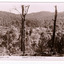 Shows a panoramic view of Marysville, Victoria. In the foreground are some large trees leading down the side of a heavily forested hill. In the background can be seen a few buildings at the base of a heavily forested mountain. On the reverse of the postcard is space to write a message and an address and to place a postage stamp. The postcard is unused.