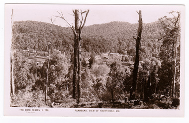 Shows a panoramic view of Marysville, Victoria. In the foreground are some large trees leading down the side of a heavily forested hill. In the background can be seen a few buildings at the base of a heavily forested mountain. On the reverse of the postcard is space to write a message and an address and to place a postage stamp. The postcard is unused.