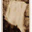 Shows Steavenson Falls in Marysville, Victoria. Shows the bottom cascade of the waterfalls flowing across rocks. Across the top of the cascade lies a fallen log. On the reverse of the postcard is space to write a message and an address and to place a postage stamp. The postcard is unused.