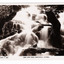 Shows the Cora Lynn Falls which are in Cambarville. Shows the falls cascading over rocks. There are a number of fallen logs lying across the falls. On the reverse of the postcard is a handwritten message.