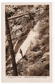 Shows the Cumberland Falls which are in Cambarville. Shows the falls cascading down the mounain side. In the foreground is a tree and in the background a fallen log can be seen lying across the falls. On the reverse of the postcard is a handwritten message.