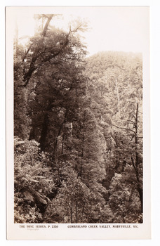Shows a heavily forested valley leading up to a forested hill. On the reverse of the postcard is a space to write a message and an address and to place a postage stamp. The postcard is unused.