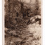 Shows the Wolfram Track which is part of the Wilks Creek Walking Track near Marysville in Victoria. On the reverse of the postcard is a space to write a message and an address and to place a postage stamp. The postcard is unused.