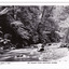 Shows the Taggerty River in Marysville in Victoria. Shows the river flowing over rocks through the forest and a small stony beach-like area on the right hand side. On the reverse of the postcard is a space to write a message and an address and to place a postage stamp. The postcard is unused.