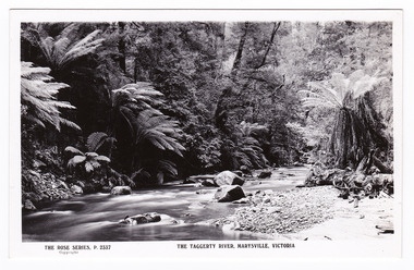 Shows the Taggerty River in Marysville in Victoria. Shows the river flowing over rocks through the forest and a small stony beach-like area on the right hand side. On the reverse of the postcard is a space to write a message and an address and to place a postage stamp. The postcard is unused.