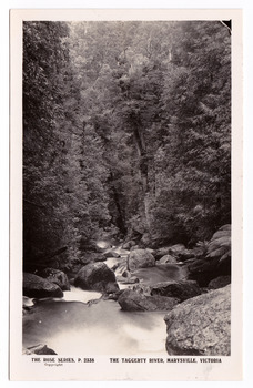 Shows the Taggerty River in Marysville in Victoria. Shows the river running over some large boulders through the forest. On the reverse of the postcard is a space to write a message and an address and to place a postage stamp. The postcard is unused.