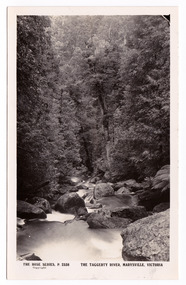 Shows the Taggerty River in Marysville in Victoria. Shows the river running over some large boulders through the forest. On the reverse of the postcard is a space to write a message and an address and to place a postage stamp. The postcard is unused.