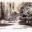 Shows Marysville's main street. Looking down the tree-lined main street, a horse is in the left of the photograph and a fence lined path is on right-hand side of photograph. On the reverse of the postcard is a handwritten messge.