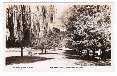 Shows Marysville's main street. Looking down the tree-lined main street, a horse is in the left of the photograph and a fence lined path is on right-hand side of photograph. On the reverse of the postcard is a handwritten messge.