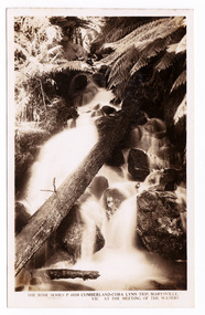 Shows the Cora-Lynn waterfall at the Meeting of the Waters near the Cumberland Creek. Shows the waterfall cascading down the mountain, over rocks, into a pool of water. Also shows a fallen tree across the waterfall. On the reverse of the postcard is a space to write a message and an address and to place a postage stamp. The postcard is unused.